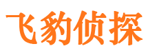 渑池侦探